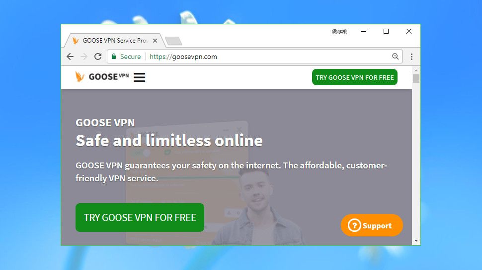 Goose VPN 评测